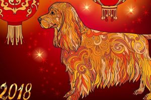 Am intrat în Anul Câinelui de Pământ. Ce schimbări aduce pentru fiecare zodie