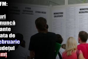 AJOFM: 477 locuri de muncă vacante la data de 17 februarie 2018 în judeţul Neamţ