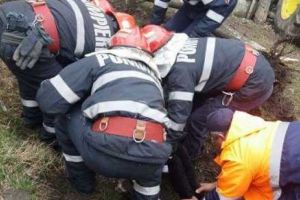 O adolescentă a ajuns la spital, după ce a fost prinsă sub un copac