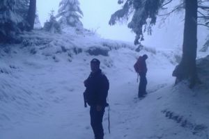 Jandarmii montani, în alertă. Trei tineri s-au rătăcit în Postăvaru