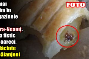 Ce mai găsim în magazinele din Piatra-Neamţ. De la fistic cu şoareci, la plăcinte cu … păianjeni