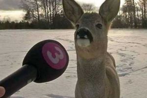 Acestea sunt cele mai mari CIUDĂŢENII din LUME! Fotografiile au devenit VIRALE! Galerie FOTO de NERATAT