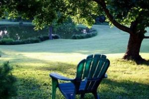 Instagramul a luat FOC! Femeile cu FORME PERFECTE arată cât de mult IUBESC mediul înconjurător. Campania care a devenit VIRALĂ - FOTO