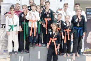 „Wazary Dojo” Bârlad, premii pe bandă rulantă