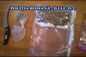 Doi bărbaţi şi o femeie, trimişi în judecată de DIICOT Alba Iulia pentru trafic de cocaină şi cannabis