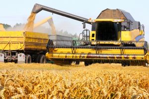 Firmă sătmăreană de succes: Vânzări de milioane de euro şi export în Elveţia, Italia şi Austria