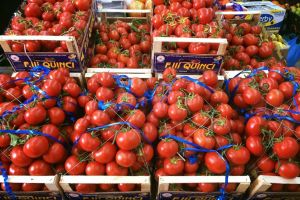 Ministrul Agriculturii: Sunt 180 de milioane de lei pentru programul de tomate româneşti. Numărul fermierilor s-a dublat