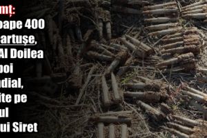 Neamţ: Aproape 400 de cartuşe, din Al Doilea Razboi Mondial, găsite pe malul râului Siret