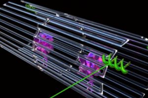 Reuşită în medicină: nanoroboţii pot fi programaţi să caute şi să atace tumorile maligne. Cum sunt distruse formaţiunile tumorale?