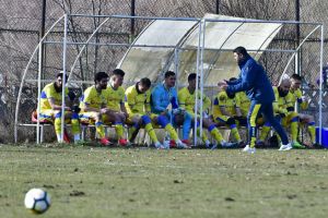 Petrolul trece pe modul iarbă