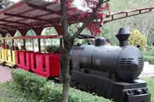 Călătoria cu trenuleţul din Ştrand se scumpeşte