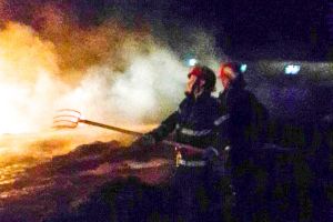 Animale salvate de furia focului