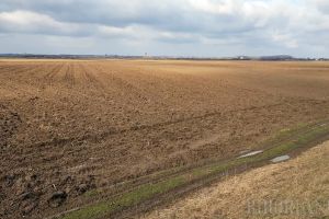 În căutare de petrol şi gaze: NIS Petrol reia operaţiunile de prospectarea seismică în Bihor