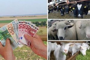 56.000.000 de lei e sprijinul acordat pentru sectorul zootehnic în 2018