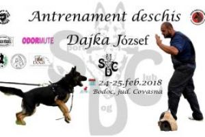 Antrenament de lucru pentru câini de pază, la Bodoc