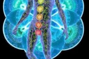 John Thomas – Ghidul tinereţii fără bătrâneţe (LI): Funcţiile nervilor