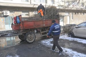 Lucrătorii de la Spaţii Verzi sunt în plină campanie de curăţenie a oraşului