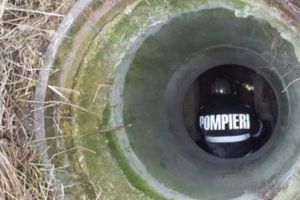 Scene EMOȚIONANTE pe un câmp din Timişoara. Cum s-au chinuit pompierii să salveze o fiinţă I FOTO