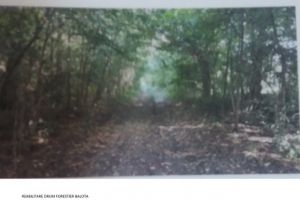 Anunţ public privind decizia etapei de încadrare Direcţia Silvică Prahova, Ocolul Silvic Ploieşti - Drum forestier BALOTA