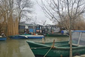 Tulcea. Incendiu la o gospodarie din Sulina. Politistii de frontiera si localnicii au intervenit (galerie foto)