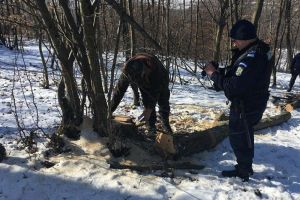 Contravenţiile silvice au cumulat amenzi de 42.500 lei