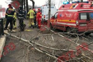 COȘMAR pentru un şofer bucureştean. A ajuns cu maşina în râul Dâmboviţa. Echipajele de salvare au intervenit IMEDIAT