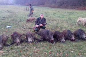 FOTO VIDEO Sibian arestat pentru braconaj de urşi. Arme letale şi trofee găsite acasă la acesta