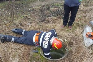 Catel salvat dintr-un canal de pompierii timisoreni