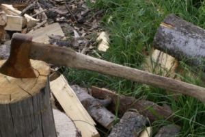 Apel umanitar! Motocicliştii de la „Free Bikers” adună lemne de foc pentru o bunicuţă din Veţel