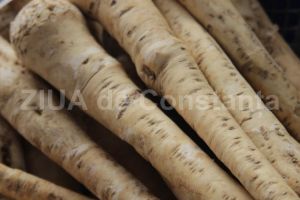 Hreanul este folosit si ca medicament, dar este si un condiment valoros