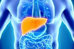 John Thomas – Ghidul tinereţii fără bătrâneţe (LII): Acidul clorhidric, bila şi procesul de îmbătrânire