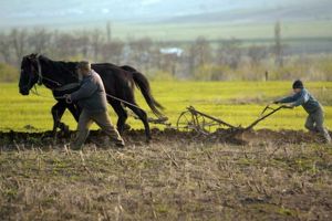 Cât s-a retrocedat în judeţul Bacău şi cât a rămas
