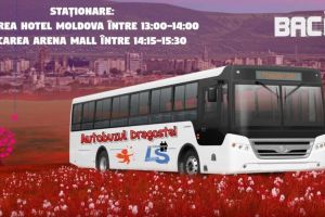 Autobuzul Dragostei va circula prin oraş, de Dragobete