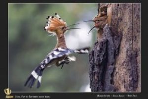 Salonul Internaţional de Artă Plastică  – „Best 100”  2018