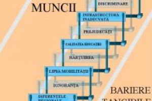MINORITATEA ROMĂ ȘI PIAȚA MUNCII: CARTOGRAFIEREA DEFICIENȚELOR ȘI BARIERELOR DIFICIL DE DEPĂȘIT