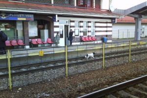 Ce spun reprezentantii Veolia despre pasarela  cazuta la Gara de Vest