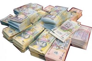 Peste 2 miliarde de euro, plăţile efectuate de APIA