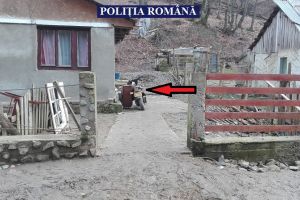 Tânăr din Lipova reţinut pentru furt şi conducere fără permis