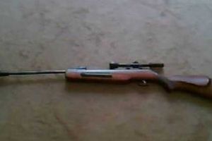 Poliţiştii au confiscat o armă cu aer comprimat, deţinută ilegal de un videlean