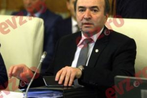 Vrei să scoată Tudorel CASTANELE DIN FOC cu mâna ta? Ce face ministrul JUSTIȚIEI înainte de MARELE ANUNȚ DE JOI