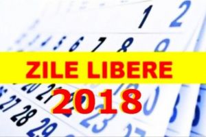 Senatorii au votat o nouă sărbătoare legală, nelucrătoare. Calendarul liberelor legale în 2018