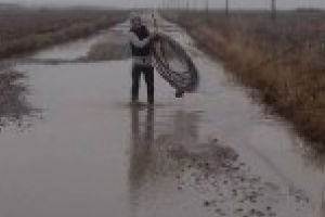 GALERIE FOTO: Situatie jalnica in judetul Braila / DJ 255 A o balta fara peste