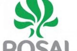 Rosal Cluj face angajări! Vezi ce posturi sunt disponibile şi unde se depun cererile de angajare