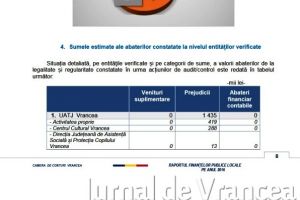 Ion Ștefan: „Parangheliile megalomanice ale lui Oprişan, considerate „prejudiciu” la bugetul judeţului de către Curtea de Conturi”
