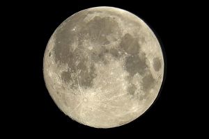 NU americanii au fost primele fiinţe de pe Terra care au ajuns pe Lună! Adevărul a ieşit, în sfârşit, la iveală