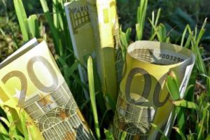 APIA: Campania pentru depunerea cererilor unice de plată a început!