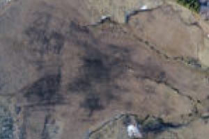 Fundaţia Activity şi alte 14 ONG-uri cărăşene cer scoaterea Romsilva din Parcul Naţional Semenic – Cheile Caraşului!