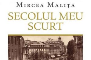 Mircea Maliţa, Andrei Pleşu şi „afacerea” Indonezia din 1978