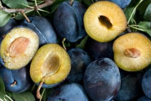 Contrabandă internaţională cu prune