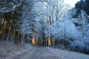 FRIG SIBERIAN în Banat! Temperaturi de MINUS 31 de grade Celsius